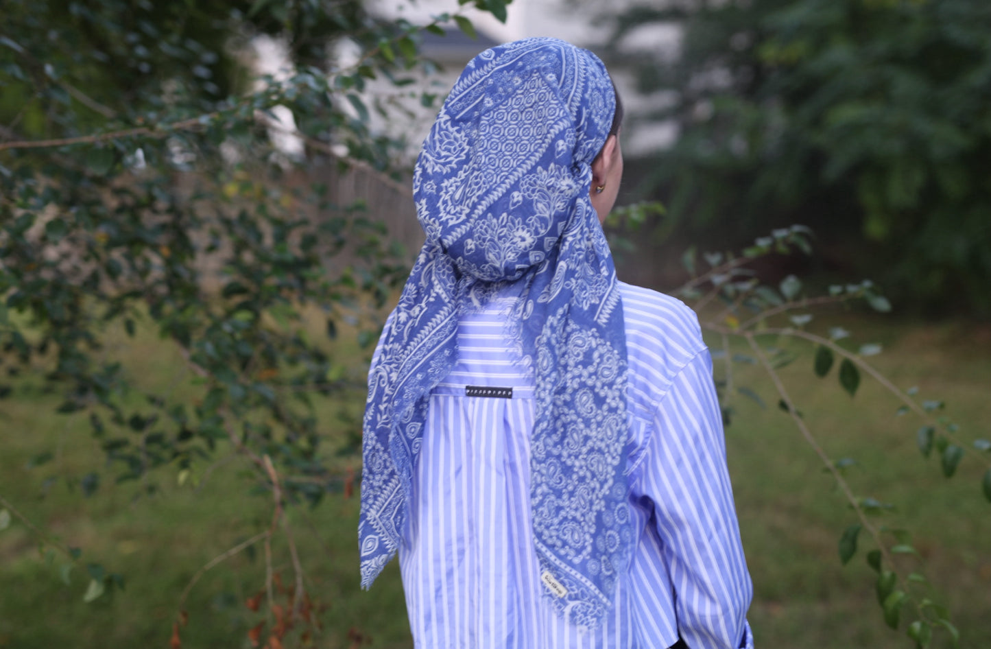 Paisley Scarf Blue