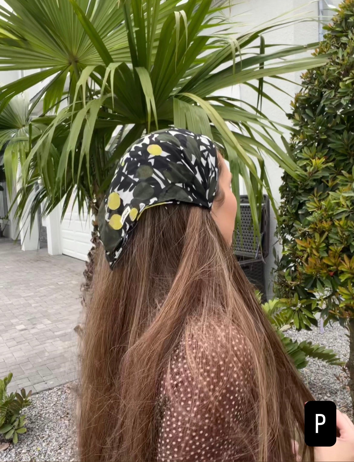 Bandanna Collection